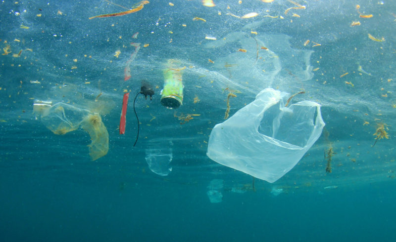 Blog: Hoćemo li dopustiti da u skoroj budućnosti u morima diljem svijeta na jedan kilogram ribe dolazi i jedan kilogram (mikro)plastike?